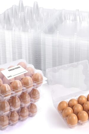 60 Pack 3x4 Clear Plastic Egg Cartons Cheap Bulk 12 Count, Reusable & Sturdy Design Eggs Carton Bulk Perfect for Family, Farm, Markets, Display (Egg Storage Containers)