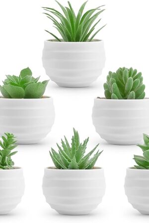 Der Rose 6 Pack Fake Plants Small Realistic Succulents Plants Artificial for Home Room Decor Indoor