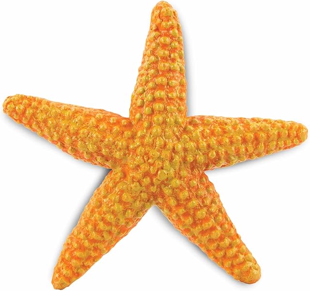 The Safari Ltd. Starfish Figurine - Vibrant 4.5" Sea Star Figure - Educational Toy for Boys, Girls, and Kids Ages 3+