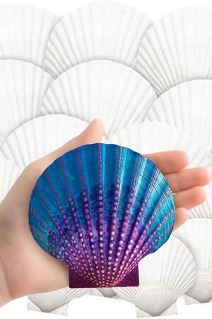 YUJUN 18PCS Large Natural Scallop Shells,2''-3'' 4''-5'' White Seashells Bulk for Crafts DIY Painting Baking and Ocean Summer Beach Wedding Home Decorations(2 Sizes Range)