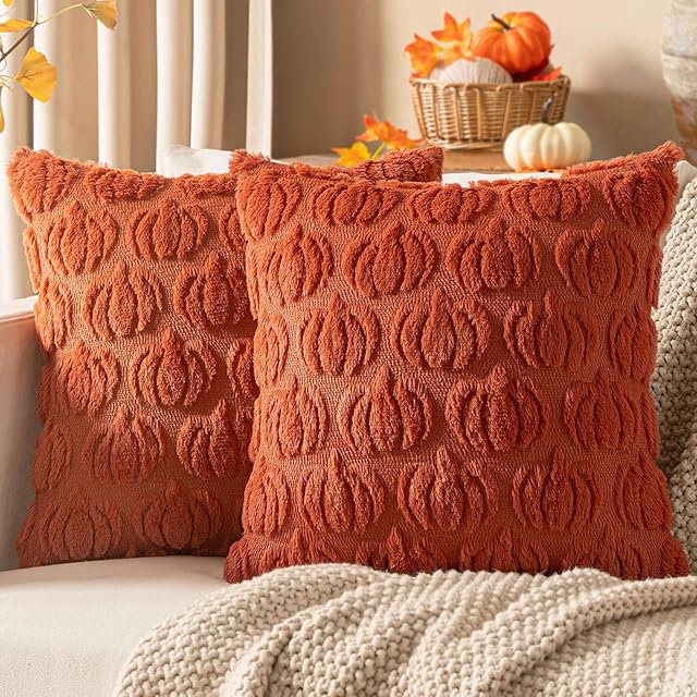 Woaboy Fall Decorative Pillow Covers 18x18 Inch, Rust, Set of 2 Pumpkin Halloween Thanksgiving Autumn Harvest Soft Faux Fur Pillows for Couch Porch Sofa Bedroom Living Room Home Decor
