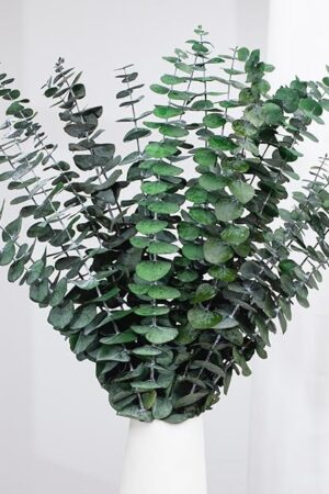 16 Pcs Dried Eucalyptus Stems, 17'' Natural Fresh Eucalyptus Leaves Branches Hanging for Shower, Preserved Real Plant Live Greenery for Home SPA Wall Bathroom Wedding Party Vase Decor