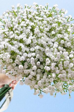 Babys Breath Artificial Flowers,12 Pcs Baby Breath Flowers Artificial Bulk, Real Touch Baby’s Breath Babies Breath Long Stems, Fake White Gypsophila For Bonquet Vase Wedding Decor Flower Arrangement