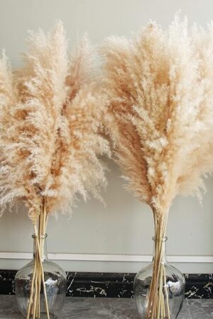 40" inch 10 Stems Natural Pampas Grass Decor Tall, pompas Grass, Tall Pampas Grass for Wedding, Party, Farmhouse, Boho Home Decor