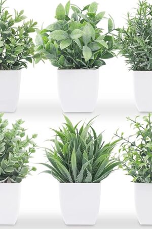 Der Rose 6 Pack Fake Plants Small Artificial Plants Faux Plants Indoor for Home Bathroom Bedroom Living Room Classroom Decor