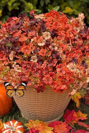 Artificial Mums Outdoor Fake Fall Flowers Decorations for Home,16 Bundles Silk Faux Mum Plants Look Real UV Resistant for Outside,Autumn Decor for Porch,Patio,Front Yard & Planters,Thanksgiving