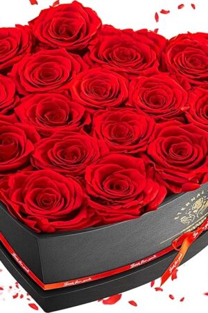 16-Piece Preserved Rose Birthday Gifts for Women, Eternal Rose Preserved Flowers for Delivery Prime Mothers' Day, Valentine's Day, Christmas, Birthday - Red Roses