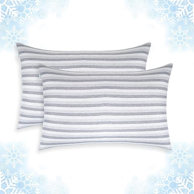Ailemei Direct Cooling Pillowcase Set of 2, Double Sided with Hidden Zipper, Japanese Icy-Jade Fiber, Breathable and Moisture-Wicking, Easy to Clean, Machine and Hand Washable
