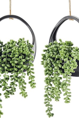 Der Rose 2 Pack Fake Hanging Plants Artificial Succulents Plants Indoor for Black Boho Bathroom Wall Decor