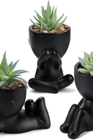 Der Rose 3pcs Fake Succulents Plants Artificial for Black Bathroom Bedroom Home Living Room Halloween Decor Aesthetic Indoor