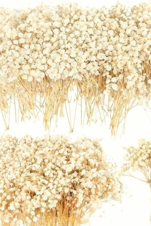 4700+ Mini Dried Babys Breath Flowers, 90+Pcs Ivory White Baby Breath Flower Bulk, Dried Flowers for Crafts, Wedding Decor Boho Invitation, Resin Candle Making, Dry Babies Flowers, Rustic Gypsophila