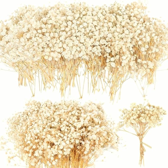 4700+ Mini Dried Babys Breath Flowers, 90+Pcs Ivory White Baby Breath Flower Bulk, Dried Flowers for Crafts, Wedding Decor Boho Invitation, Resin Candle Making, Dry Babies Flowers, Rustic Gypsophila