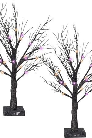 Dazzle Bright 2 Pack 20 Inch Orange & Purple Lighted Halloween Birches Tree Decor, 24 LED Battery Operated Halloween Decorations Artificial Black Spooky Tree with Timer for Indoor Home Party