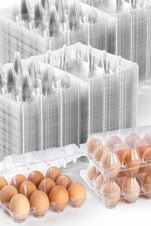 100 Pack Plastic Egg Cartons Cheap Bulk,1 Dozen Clear Empty Egg Cartons for Chicken Eggs 3x4 Grids,Reusable Egg Carton for Family, Chicken Farm, Markets Display