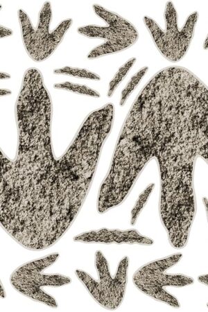 90 Pcs Dinosaur Footprints for Floor Dinosaur Decorations Realistic Halloween Decorations Wall Decals for Kids Classroom School Playroom Baby Nursery Bedroom Home（3 Sizes