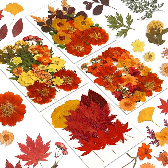 Augshy Fall Dried Pressed Flowers,100 Pcs Autumn Dried Flowers Leaves for Resin Molds Real Pressed Flowers for Crafts DIY Jewelry Molds, Scrapbooking, Candle