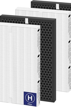 116130 Replacement Filter H for Winix 5500-2 Am80 Plasmawave Air Purifier True HEPA Carbon Filter,2 Set