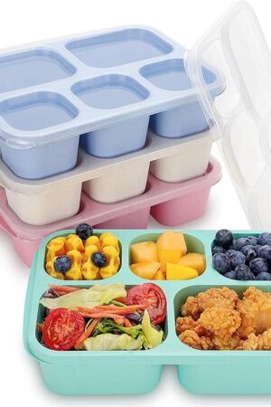 Bento Box Adult Lunch Box, 4 Pack Lunchable Containers for Adults with 5 Compartments, Meal Prep Containers Reusable for Kids, Food Storage Snack Containers for School, Work, Travel
