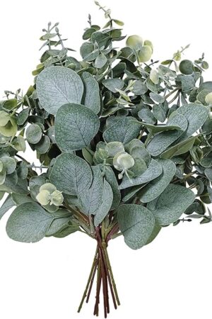 10 Pcs Mixed Eucalyptus Leaves Stems Bulk Artificial Silver Dollar Picks Faux Branches for Vase Bouquets Floral Arrangement Wreath Farmhouse Rustic Greenery Decor