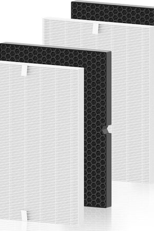 116130 Replacement Filter H for Winix 5500-2 AM80 Plasmawave Air Purifier, Includes 2 Pack True HEPA Filter and 2 Pack Activated Carbon Filter