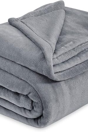 Bedsure Soft Plush Bed Blankets - Lightweight Fuzzy Cozy Luxury Blanket