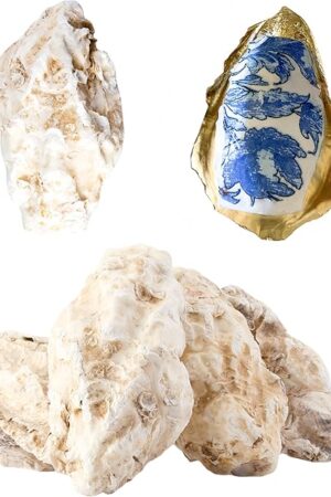 10Pcs Extra Large Oyster Shells for Crafts （ 5"-6"）, Oyster Shell for Crafting?Painting?Wedding?Christmas?Beach Theme Decor， and Clean?Odor-Free Sea Shells for Crafting (10)