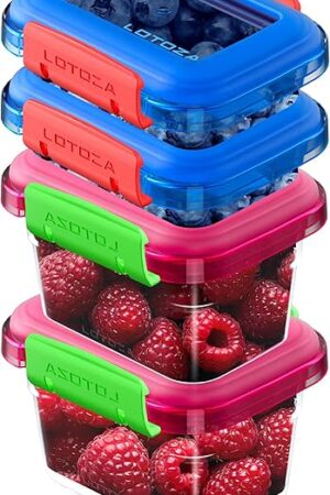 12oz 5oz Small Plastic Food Storage Containers with Lids Lunch Box Square Leakproof Snack Container Salad Fruit Jam Yogurt BPA Free Stackable Microwave Dishwasher Safe Sets 4 Pack