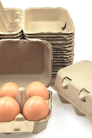 Azatemgo 40 Pack Pulp Fiber Egg Cartons - 6 Count Tray, Solid Reusable Containers Half Dozen Egg Cartons