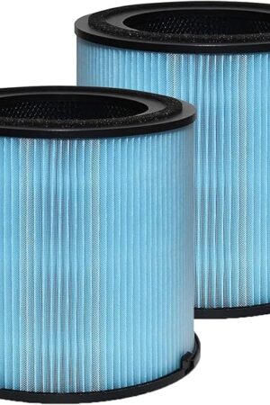 AP1001 Filter Replacement, Compatible with AP1001 Air Purifier, Part Number AP1001-RF, 5-Layer Purification System, 2 Pack