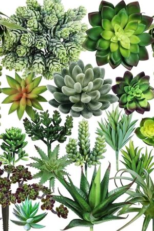 Winlyn 19 Pcs Assorted Artificial Succulents Plants Unpotted Small Green Hanging Succulent Aloe Fake Cacti Succulents Bulk for Succulent Garden Centerpiece Wreath Arrangement Indoor Outdoor Home Decor