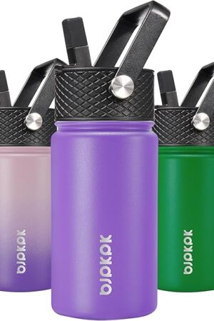 BJPKPK Stainless Steel Water Bottle with Straw Lid, 15 oz Macaron-Modena