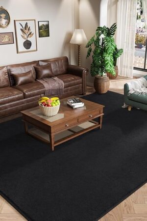 Amearea Modern Area Rugs for Bedroom Living Room, 4x6 Feet Black Thickened Memory Foam Rug, Fluffy Indoor Washable Rugs Non Slip Minimalist Carpet for Kids Boys Girls Dorm Nursery Room Decor