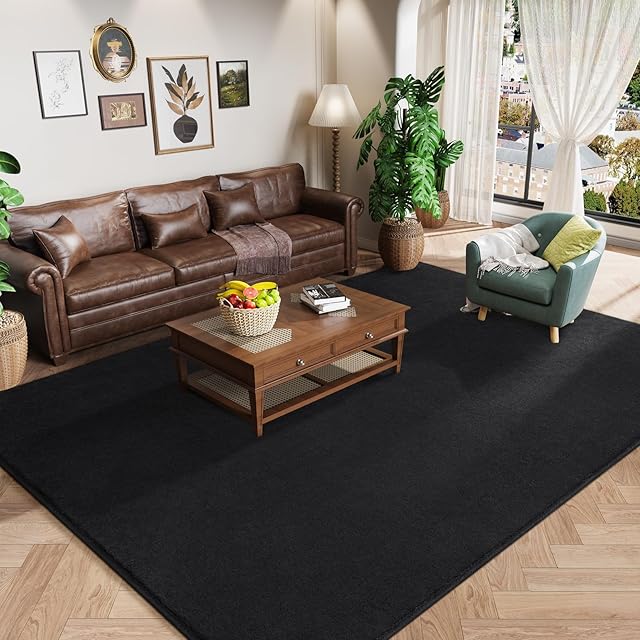 Amearea Modern Area Rugs for Bedroom Living Room, 4x6 Feet Black Thickened Memory Foam Rug, Fluffy Indoor Washable Rugs Non Slip Minimalist Carpet for Kids Boys Girls Dorm Nursery Room Decor