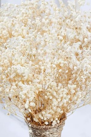 2000+ Dried Babys Breath Flowers Bulk - 17" Ivory White Dried Flower Bouquet, Real Natural Gypsophila Branches for Vase Filler, Wedding, Table Centerpiece, Home Decor, DIY Wreath Floral, Crafts