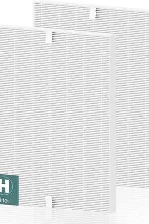 116130 Replacement Filter H for Winix 5500-2 AM80 Plasmawave Air Purifier, Includes 2 Pack True HEPA Filter