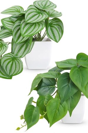 Der Rose 2Pcs Small Fake Plants Artificial Mini Faux Plants for Bathroom Office Desk Shelf Table Accessories Decor Indoor