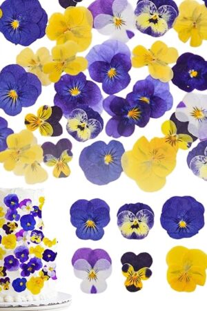40 Pcs 8 Kinds Natural Dried Pressed Edible Flowers for Cake Topper Decorating - Mix Viola Tricolor for Cupcake Toppers, Cocktails, Resin Jewelry Making, DIY Art Crafts