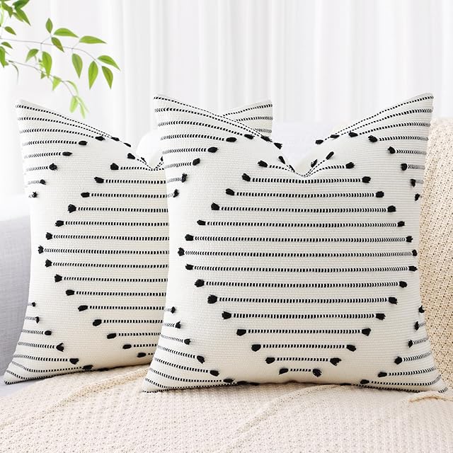 Mecatny Boho Outdoor Throw Pillow Covers 18X18 Set of 2, Farmhouse Decorative Pillow Covers for Couch Sofa Living Room, Black & Cream White