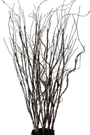 10PCS Lifelike Curly Willow Branches Decorative Dried Artificial Twigs, 30.7 Inches Fake Bendable Sticks Vintage Vines/Stems DIY Greenery Plants Craft Vases Home Garden Hotel Farmhouse Decor