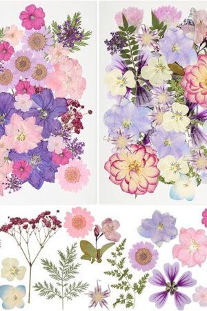 50Pcs Dried Pressed Flowers Resin Mould Real Pressed Flowers Natural Dry Leaves Bulk Mixed Colorful Daisy Herbs Kit with Tweezers for Scrapbooking DIY Candle Jewelry Crafts Making Nails(Purple)