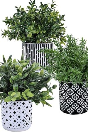 Winlyn 3-Pack Artificial Potted Plants - Faux Eucalyptus, Rosemary, Boxwood Greenery in Small Black & White Geometric Concrete Pots -Desk, Table, Shelf, Windowsill Decor for Indoor Outdoor Home Office