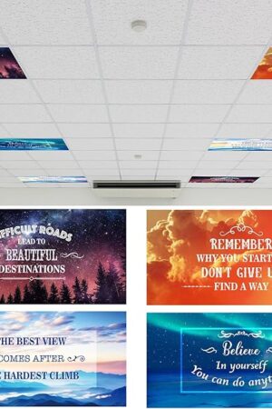 VIHOSE 4 Pcs Fluorescent Light Covers for Ceiling Lights 4 x 2 ft Motivational Magnetic Light Covers Inspirational Classroom Filters for Classroom Office Home Kitchen(Landscape)