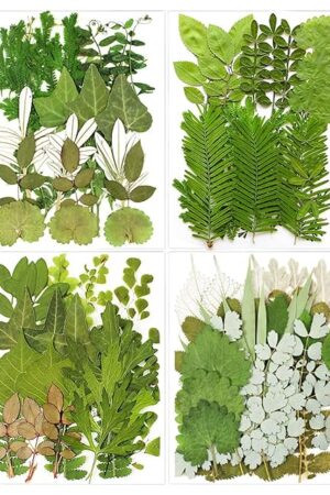84Pcs Pressed Dried Leaves for Resin Molds, Assorted Real Natural Bulk Dry Flowers for DIY Art Crafts, Epoxy Jewelry, Candle, Soap Making, Nails Decors Gifts