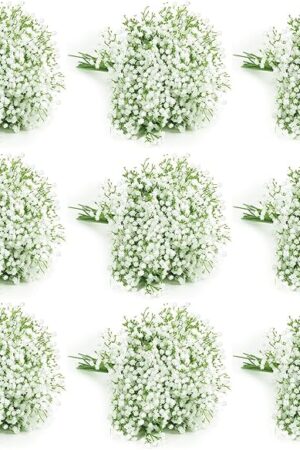 120 Pcs Baby Breath Artificial Flowers Bulk，White Artificial Flowers Artificial Baby Breath Gypsophila Flowers para Decoracion for Wedding Party Home Decoration (120 PCS)