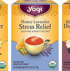 Yogi Tea Iced Tea Variety Pack - 3 Packs (16 Bags/Pack) - Organic | Mango Ginger | Blackberry Apple | Honey Lavender | Cider Digestive | Stress Relief