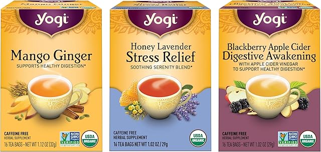 Yogi Tea Iced Tea Variety Pack - 3 Packs (16 Bags/Pack) - Organic | Mango Ginger | Blackberry Apple | Honey Lavender | Cider Digestive | Stress Relief