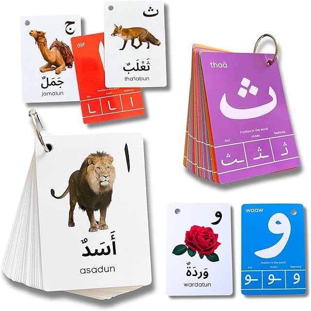 The Arabic Alphabet Flash Cards for Kids Toddler and Adults, Arabic First Words, Letter Recognition, Homeschool Learning, Arabic Teacher