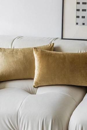 Demetex Gold Throw Pillow Covers Super Soft Velvet Pillows Lumbar Modern Rectangle Decorative Bed Pillow Cover for Couch Patio, Set of 2, 12x20 inches, Gold