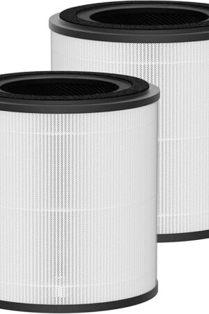 3389 HEPA and Carbon Filter Replacement Compatible with Bissell MYair+ and MYair HUB Air Cleaner Purifiers 2905A 3179A, Part Number 3389 2 Pack