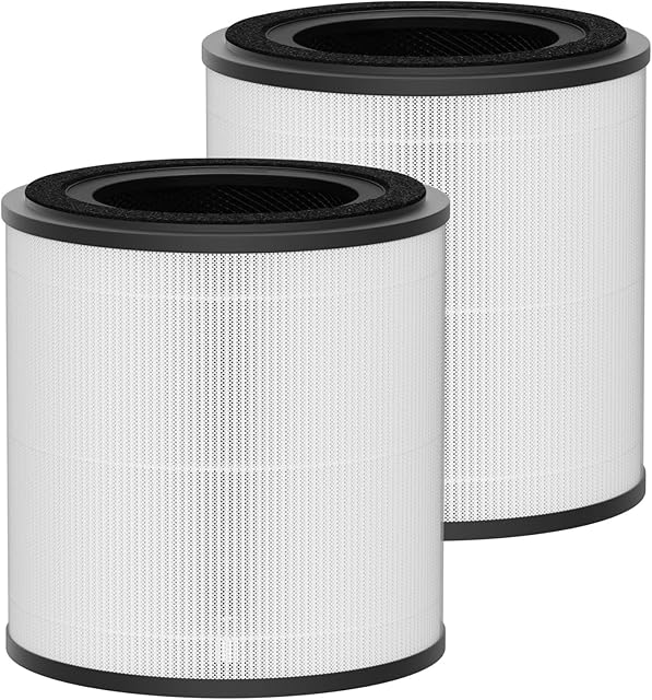 3389 HEPA and Carbon Filter Replacement Compatible with Bissell MYair+ and MYair HUB Air Cleaner Purifiers 2905A 3179A, Part Number 3389 2 Pack